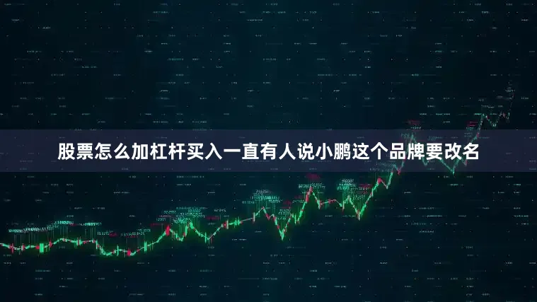 股票怎么加杠杆买入一直有人说小鹏这个品牌要改名